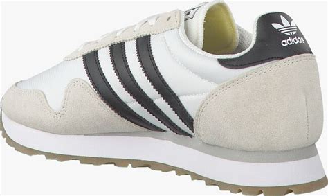 adidas haven heren wit|Witte ADIDAS Sneakers HAVEN HEREN .